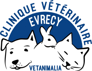 Clinique Vétérinaire VetAnimalia Évrecy
