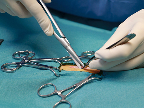 Service de chirurgie